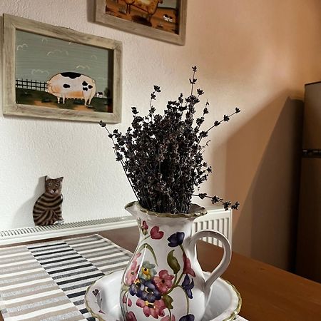 Olympus Country House Karia  Екстериор снимка