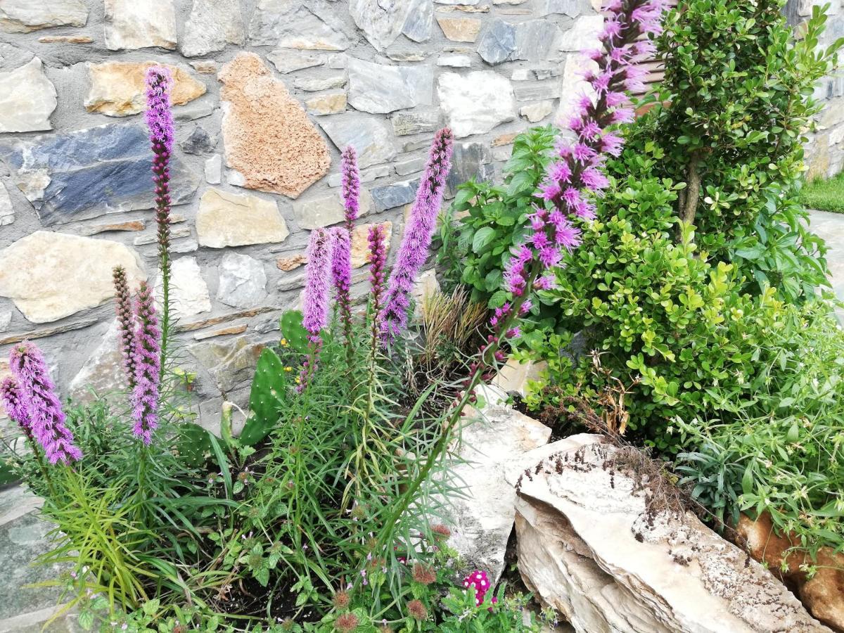 Olympus Country House Karia  Екстериор снимка